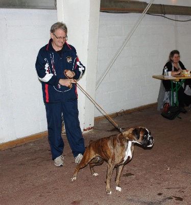 du domaine des trois vallées - DONATHELA 1ère exposition CACIB Rouen